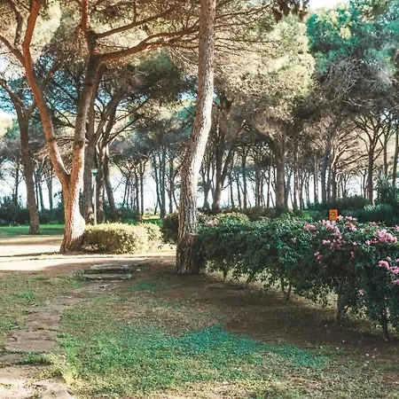 Villa Casa Di Gio Pula Exterior foto